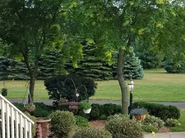 20180612_184123.webp 20180612_184123.webp