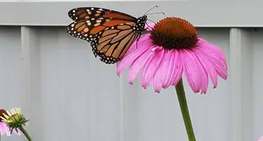 20180706_184205.webp