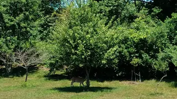 20180708_120231.webp