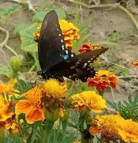 20180807_110450.webp