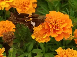 20180806_130801.webp