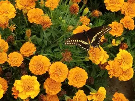 20180806_130743.webp