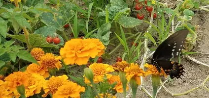 20180807_110358.webp