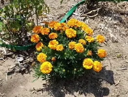 20180807_110831.webp
