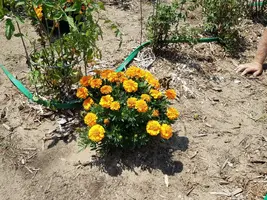 20180805_123041.webp