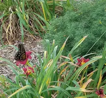 20180807_111750.webp