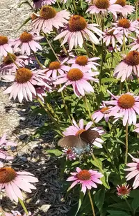 20180807_111939.webp