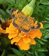 20180810_134554.webp