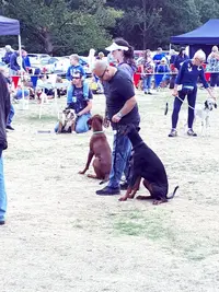 IMG-20180915-WA0043.webp