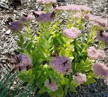 20180921_052828.webp