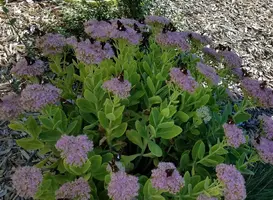 20180921_052752.webp