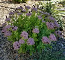 20180921_052719.webp