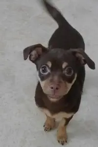 Coco_1 1st pic of Kali.webp