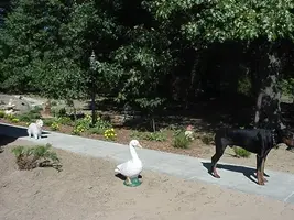 Dogs on front walk.webp