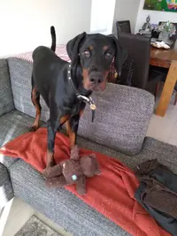 IMG-20190109-WA0002.webp