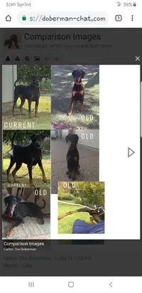 Screenshot_20190219-174031_Chrome.webp