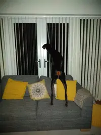 IMG_20190220_042246512.webp