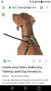 Screenshot_2019-04-24-15-44-28.webp