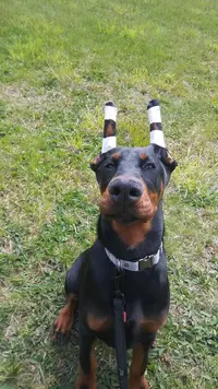 20190503_113404.webp
