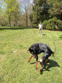 IMG_20190419_130249577.webp