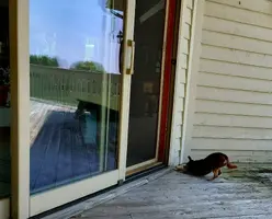 20190505_135203.webp