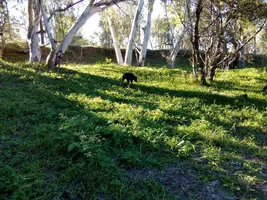 IMG_20190505_163707.webp