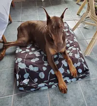 20190510_115719.webp