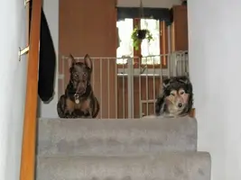 With Dodie at top of stairs Nov 2 11.webp