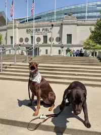 MVIMG_20190518_104958.webp