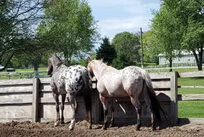 20190520_063352.webp