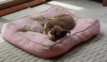 20190530_123154.webp
