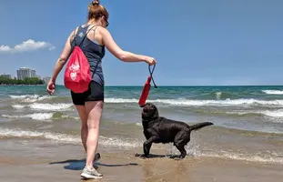 MVIMG_20190602_120625-01.webp