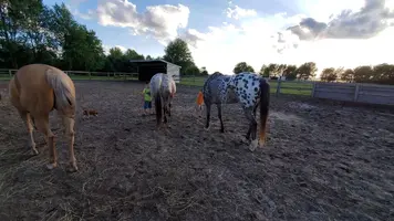 20190525_190923.webp