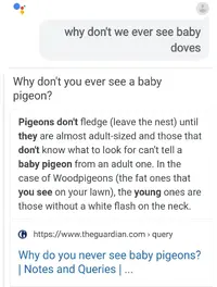 Screenshot_20190612-060933_Google.webp