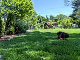 IMG_20190610_123112.webp