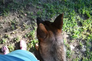 A75BDDA9-EFAF-4C76-8963-F7FB11CA30F6.webp