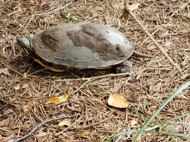 20190621_123339.webp