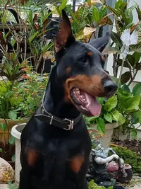 20190621_112751.webp