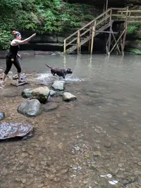 MVIMG_20190623_115813_1.webp