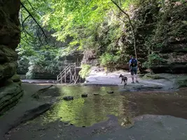 IMG_20180704_094459.webp