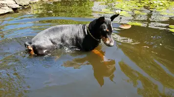fishing.webp