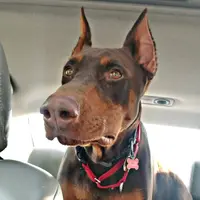 IMG_20190619_192209_928.webp