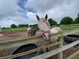 20190624_134524.webp