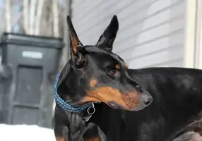 Head shot looking back Feb 6 18.webp
