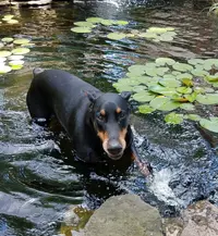 20180528_130906.webp