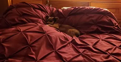 20190702_060133.webp