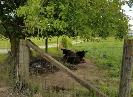 20190701_150259.webp