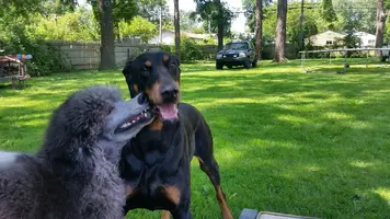 20190711_121701.webp
