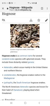 Screenshot_20190713-081551_Chrome.webp