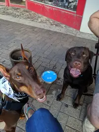 IMG_20190713_195631.webp